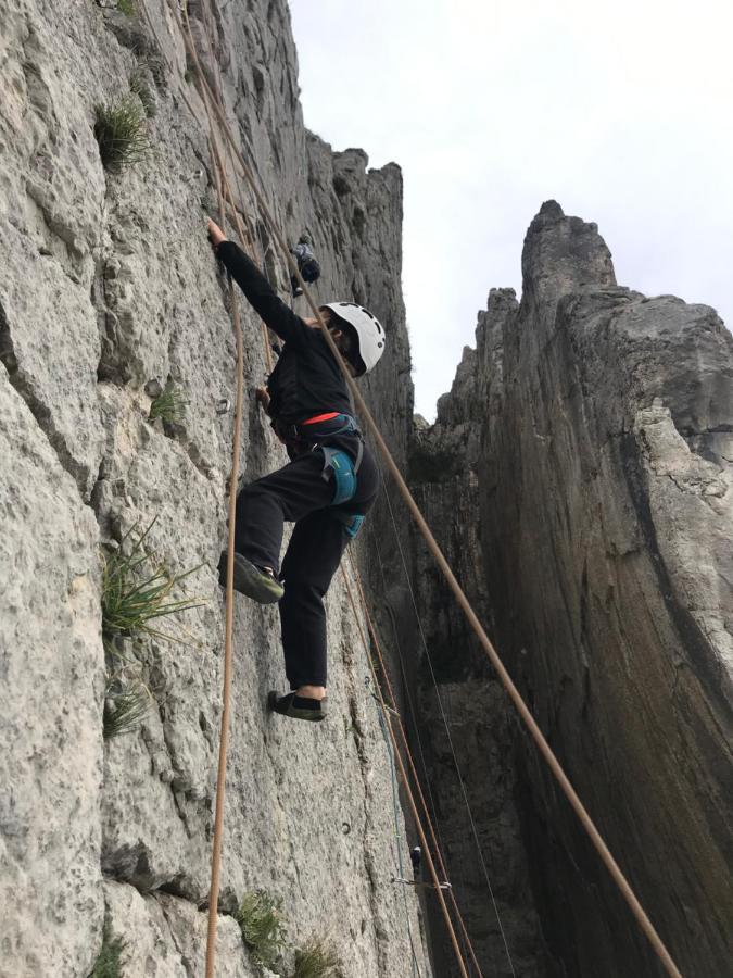 Hotel Les Chenes Sisteron Exterior foto